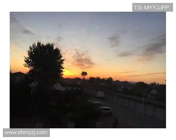 太阳与梦想的对决比分直播全程跟踪与精彩分析 太阳与梦想的对决比分直播全程跟踪与精彩分析