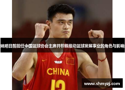 姚明目前担任中国篮球协会主席并积极推动篮球发展事业的角色与影响