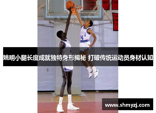 姚明小腿长度成就独特身形揭秘 打破传统运动员身材认知