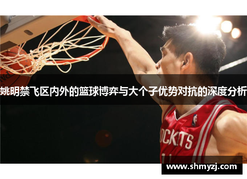 姚明禁飞区内外的篮球博弈与大个子优势对抗的深度分析
