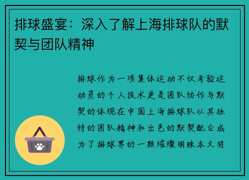 排球盛宴：深入了解上海排球队的默契与团队精神